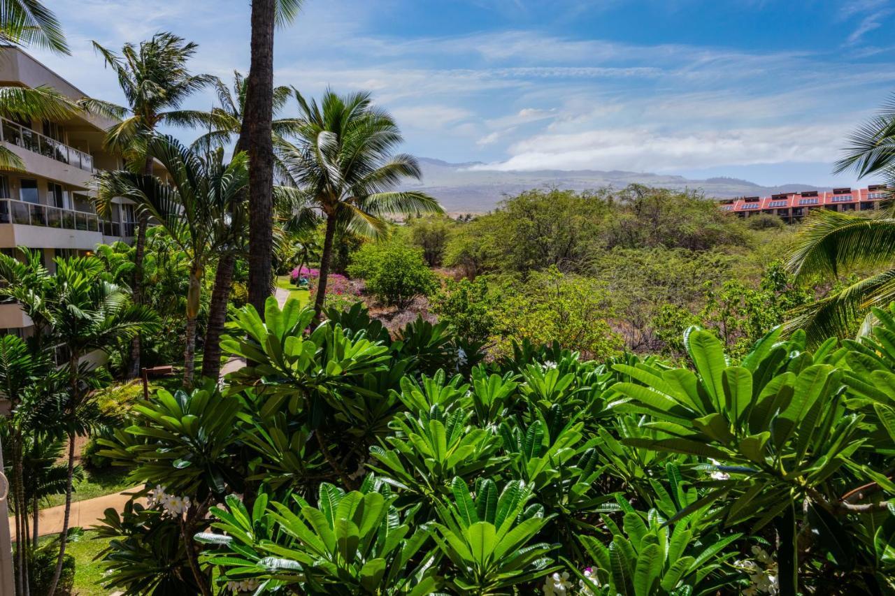 Maui Banyan H311 1Bd 2Ba 3 Min Walk To The Beach In The Heart Of South Kihei! Wailea  Extérieur photo