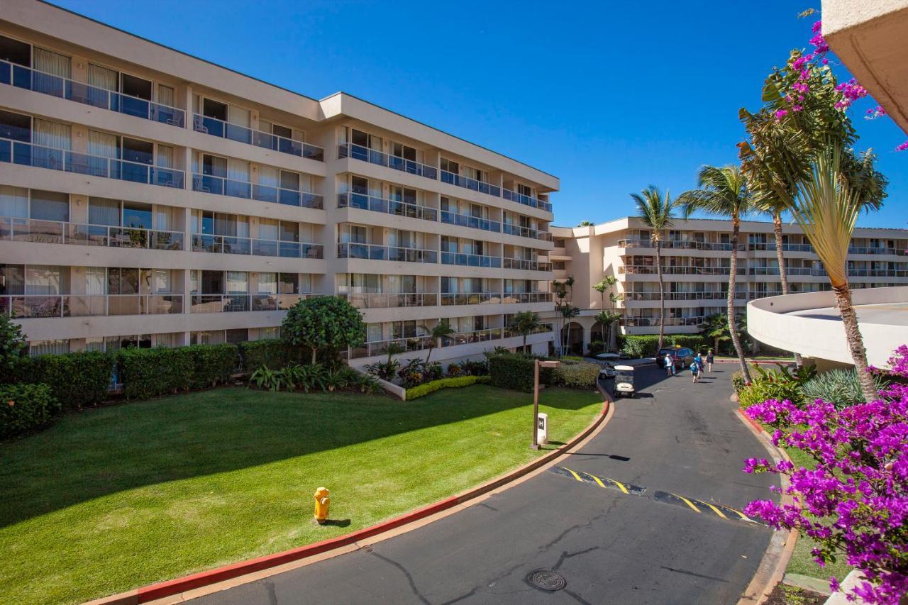 Maui Banyan H311 1Bd 2Ba 3 Min Walk To The Beach In The Heart Of South Kihei! Wailea  Extérieur photo
