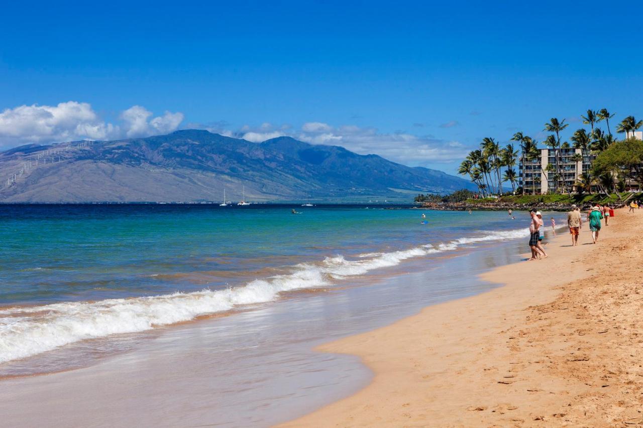 Maui Banyan H311 1Bd 2Ba 3 Min Walk To The Beach In The Heart Of South Kihei! Wailea  Extérieur photo