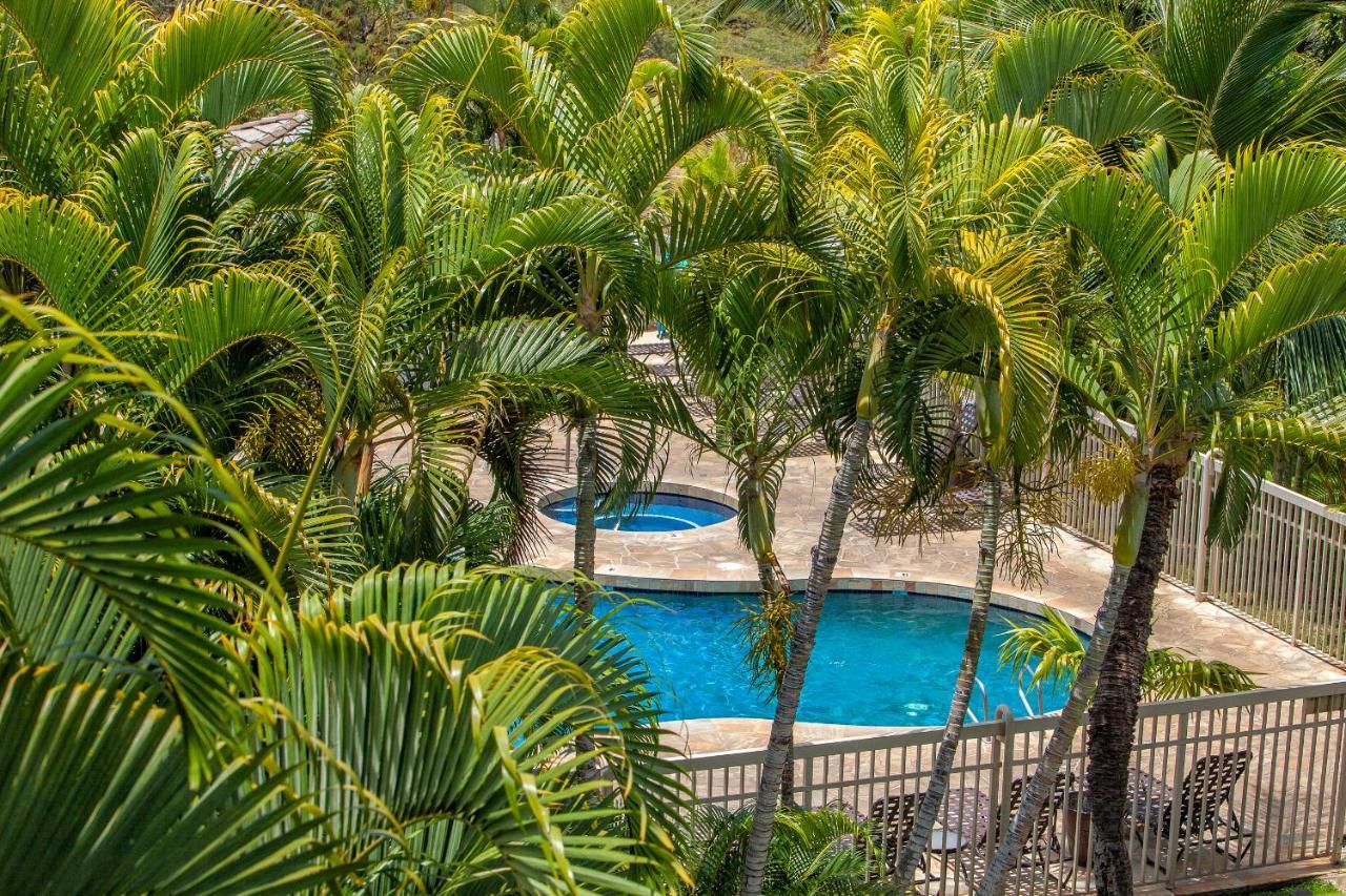 Maui Banyan H311 1Bd 2Ba 3 Min Walk To The Beach In The Heart Of South Kihei! Wailea  Extérieur photo