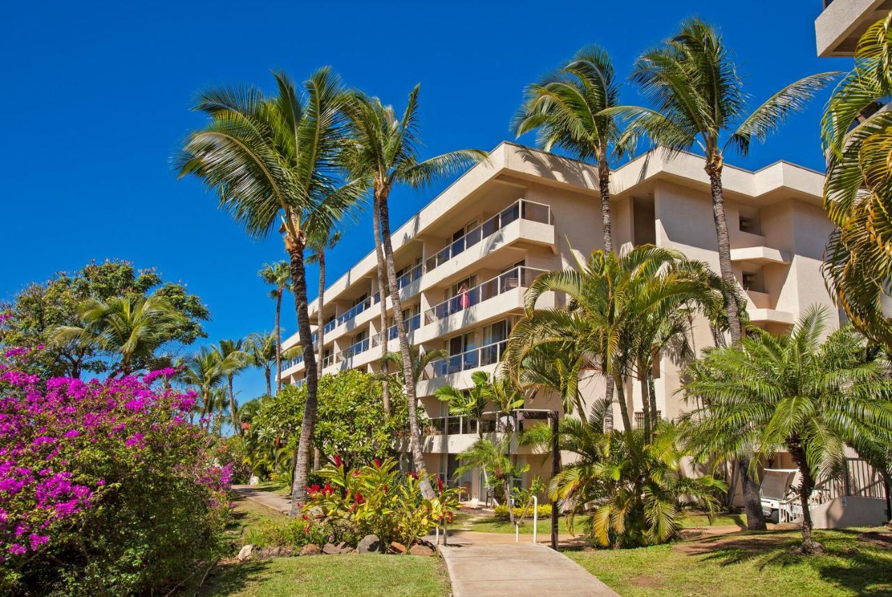 Maui Banyan H311 1Bd 2Ba 3 Min Walk To The Beach In The Heart Of South Kihei! Wailea  Extérieur photo